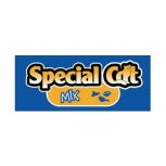 Special Cat